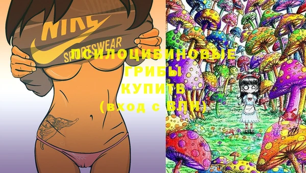 стафф Белокуриха