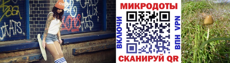 Псилоцибиновые грибы мицелий  Гай 