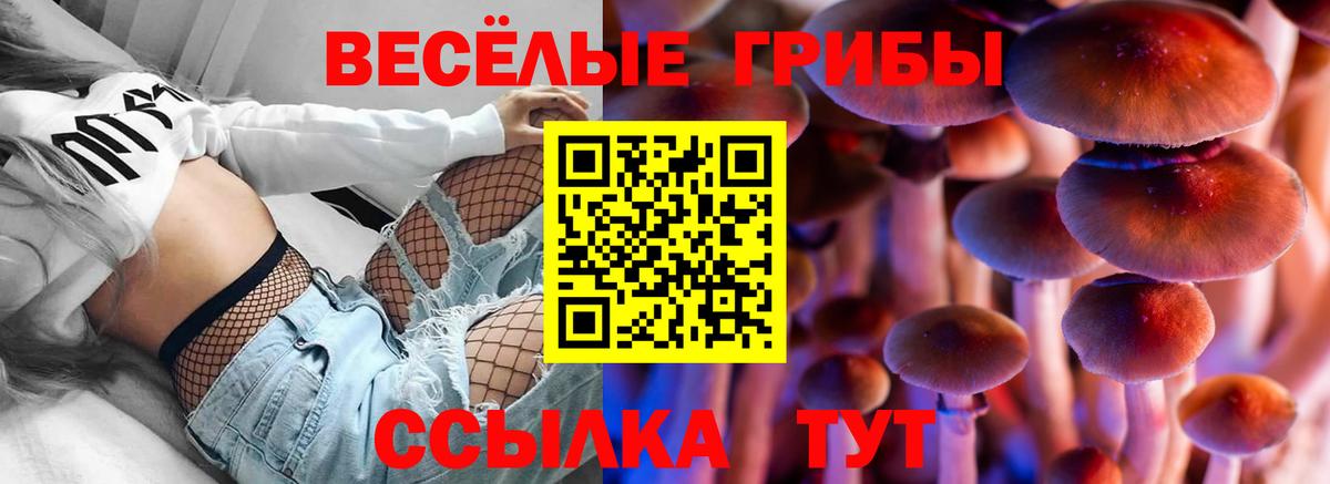 Псилоцибиновые грибы прущие грибы  Галлюциногенные грибы MAGIC MUSHROOMS  Гай  Вход с VPN 
