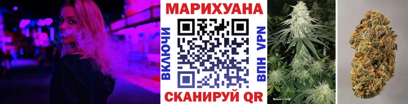 Марихуана планчик  Гай 